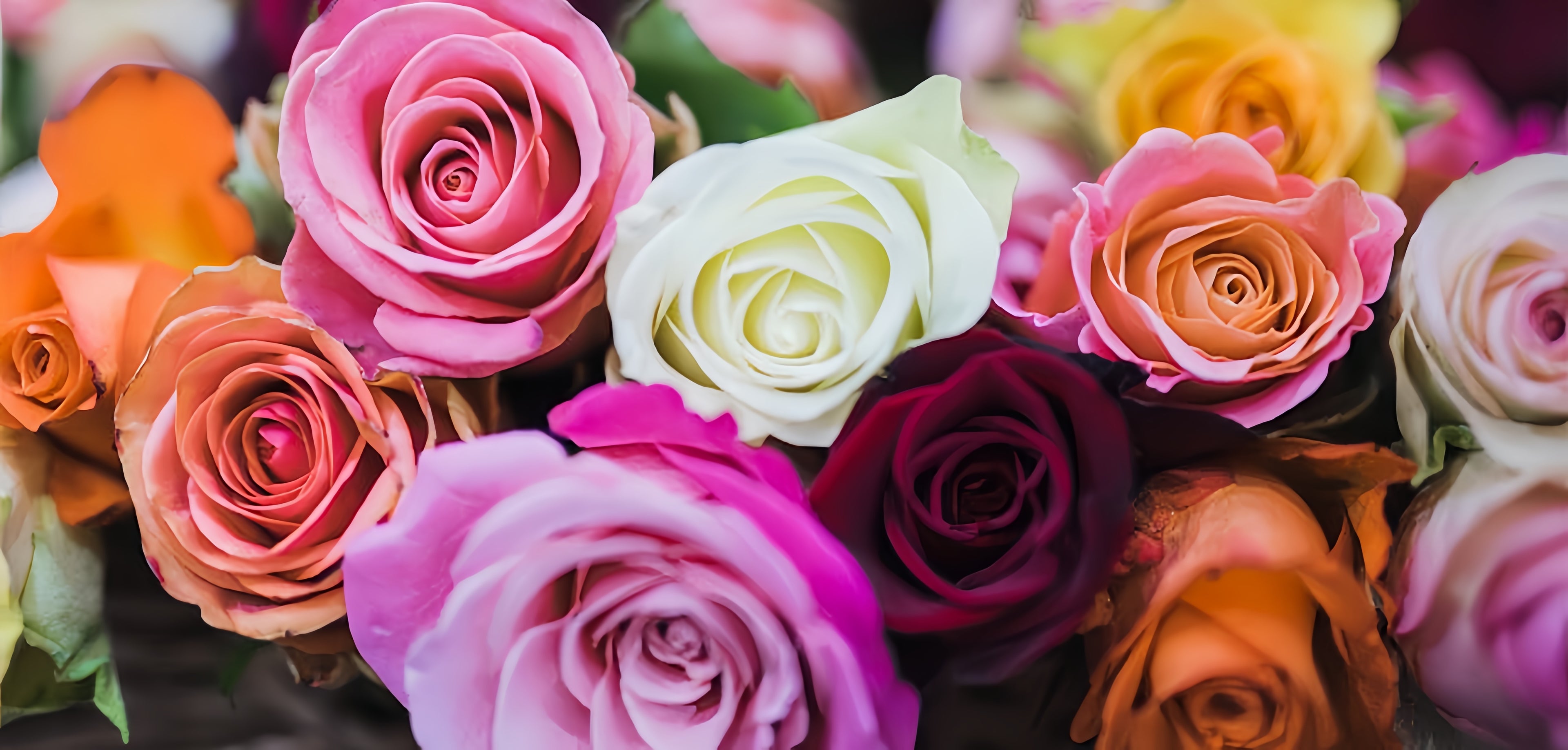 slider image 1621243260e1af0c20-0