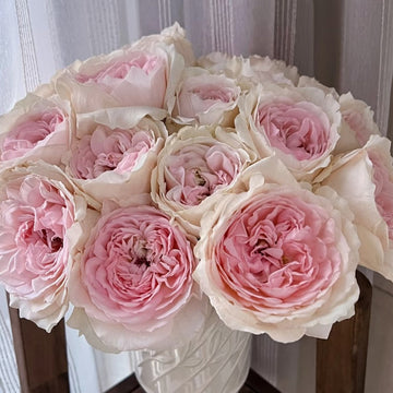Senlitsu Rose