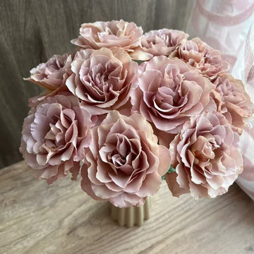 Caffe Latte Rose