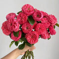 Flamingo Rose
